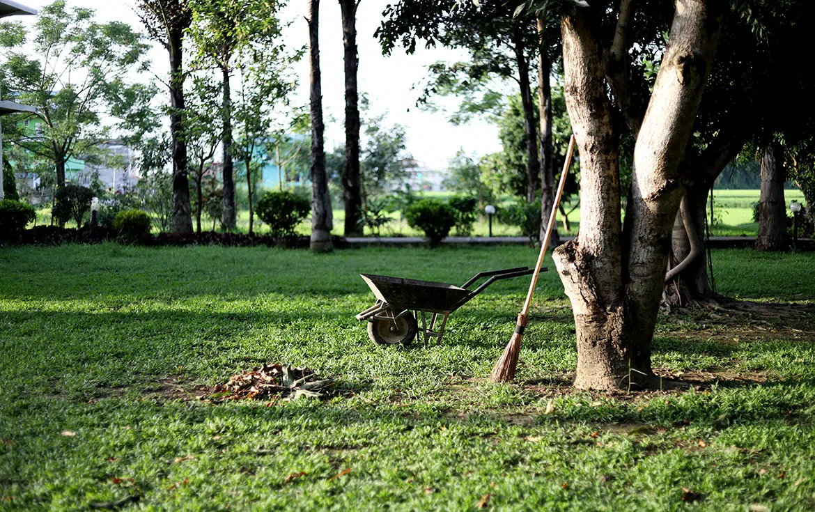 Entretenir son jardin par une entreprise d'espace vert