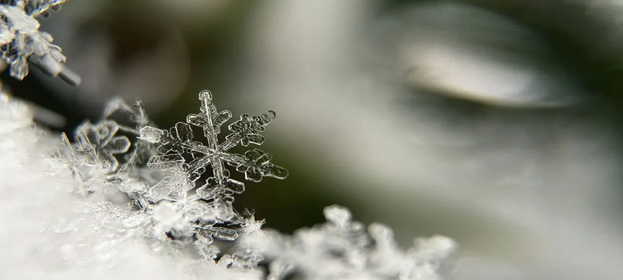 Cmonjardinier vous conseille au sujet du gel au jardin.