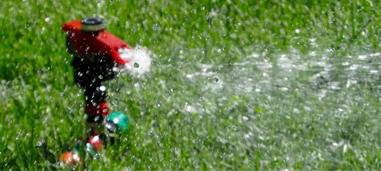 Comment bien arroser le jardin, Cmonjardinier vous dit tout.