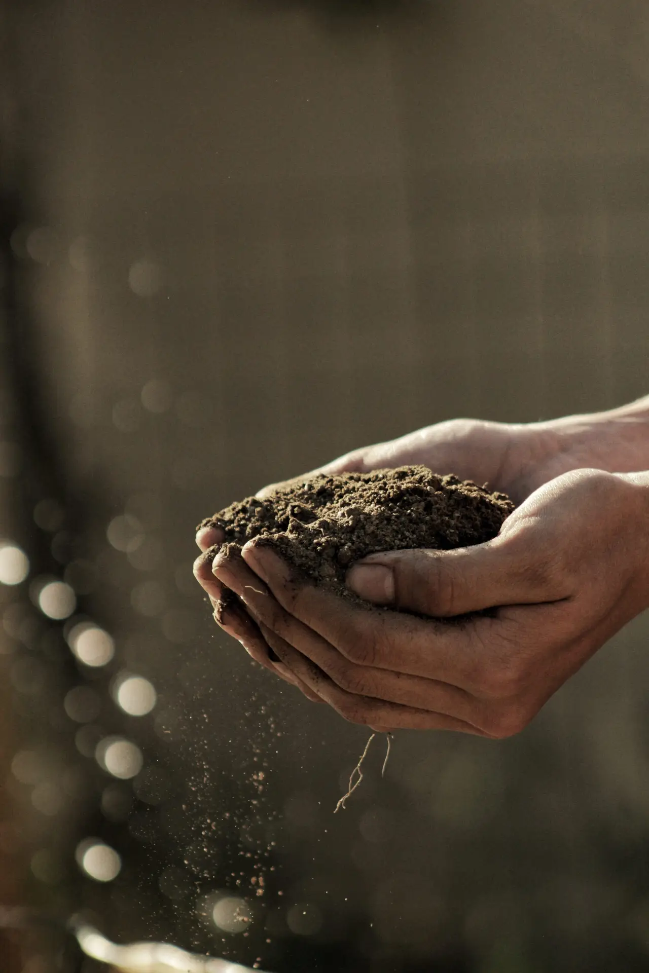Les tendances en jardinage pour 2026