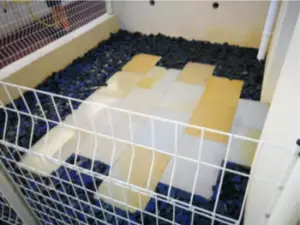 aménagement et création d'un jardin paysagé