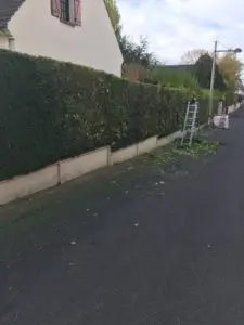 Pendant, taille de haies