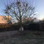 Entretien du jardin en hiver avec cmonjardinier