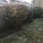 Entretien d'un jardin sur Mérobert (91)