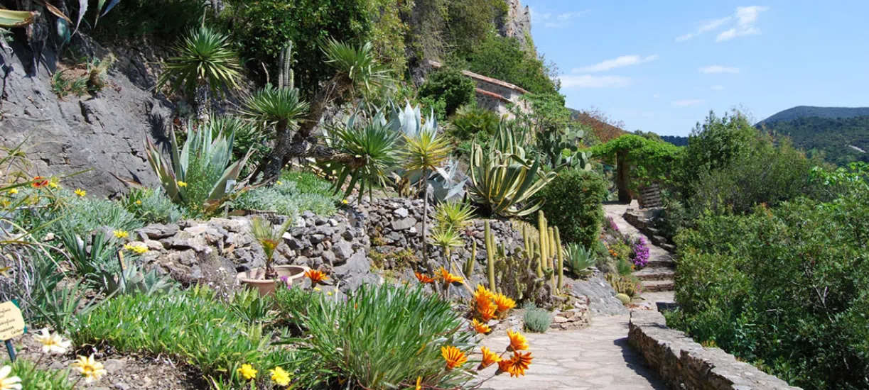 Cmonjardinier vous explique quelles plantes choisir pour avoir un beau jardin méditerranéen.