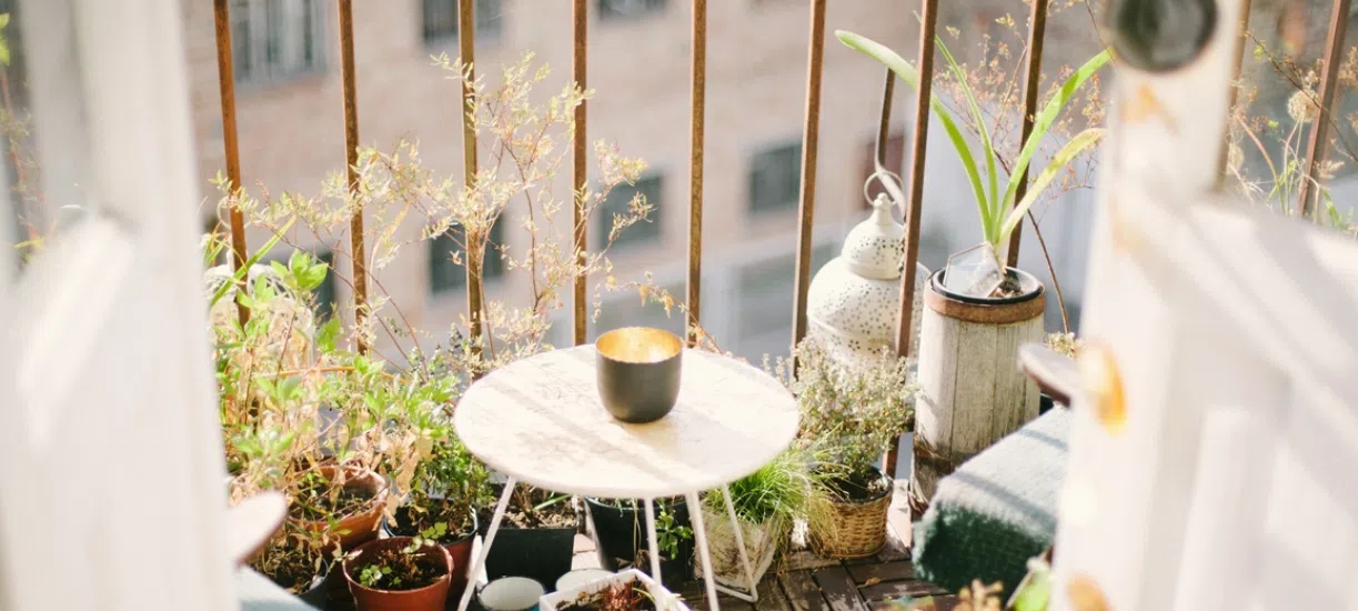 Potager surélevé pour petits espaces