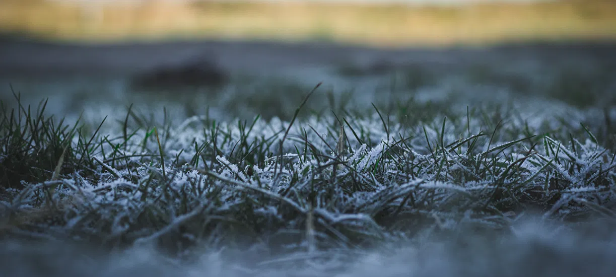 Comment entretenir sa pelouse en hiver? Voici les conseils de Cmonjardinier.