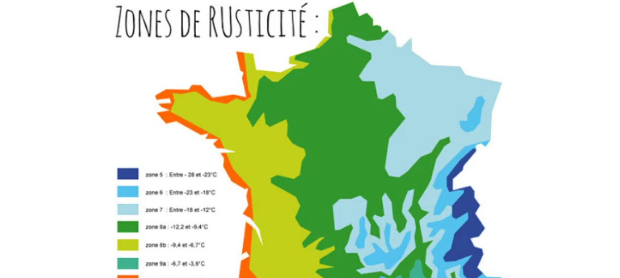 Savez-vous ce qu'est la carte USDA France ? Cmonjardinier vous dit tout sur la carte de rusticité !