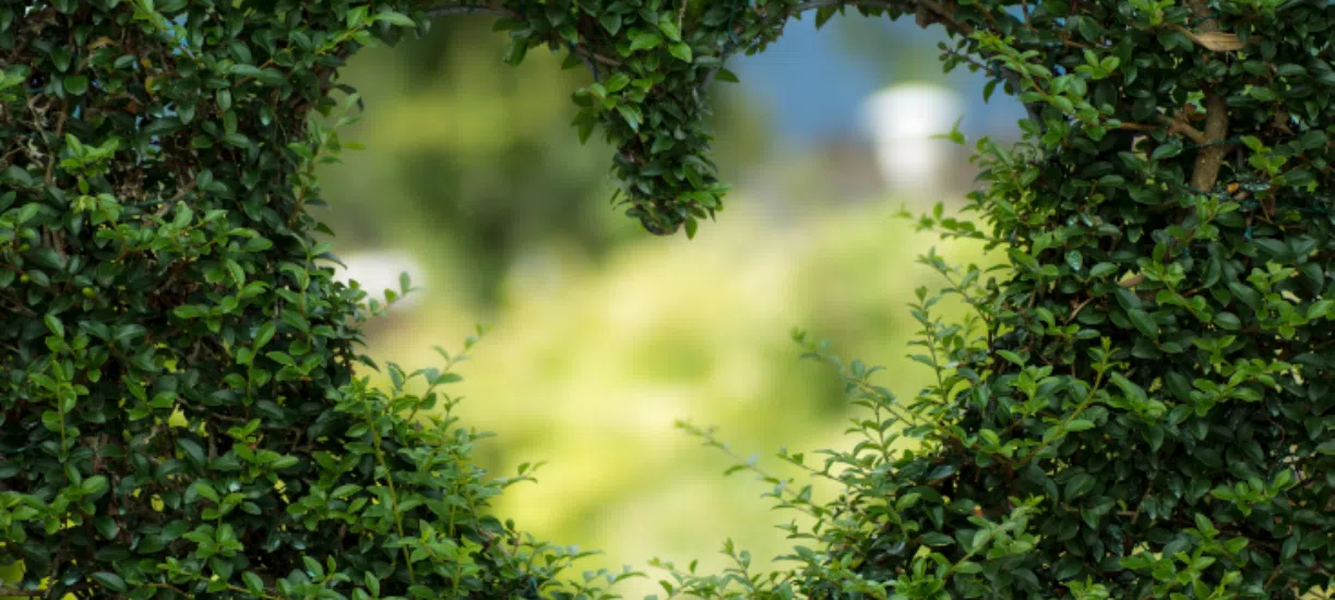 Cmonjardinier vous explique comment faire du Land art