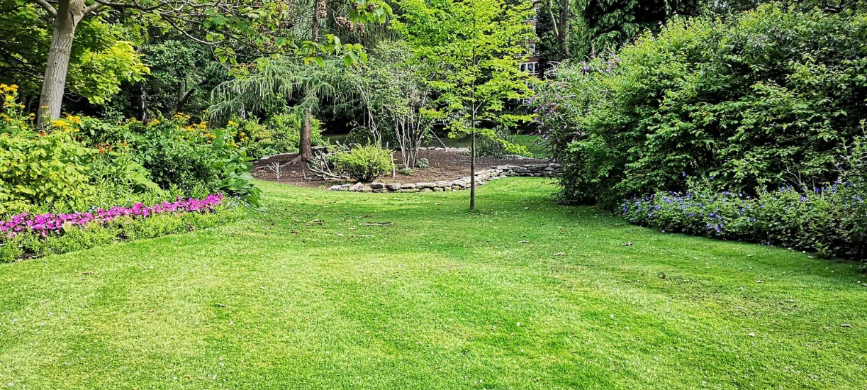 Cmonjardinier vous explique comment préparer son jardin Avant son départ en vacances.