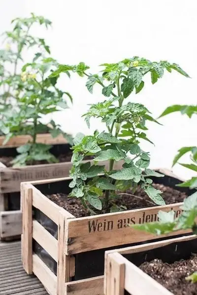 Pots de fleurs originaux et insolites en palettes