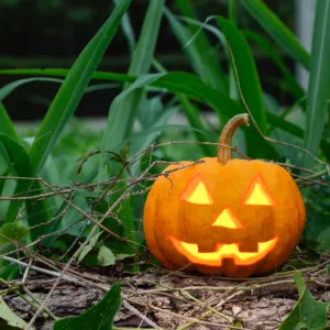 Une citrouille d'Halloween