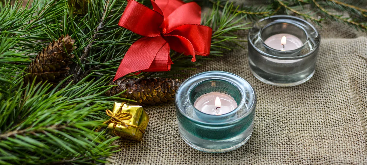 Cmonjardinier vous présente 10 astuces décoration de Noël écoresponsable