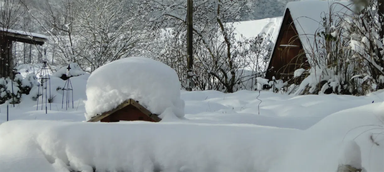 Sel de déneigement