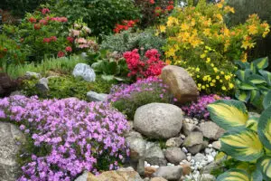 Cultiver et entretenir les plantes du jardin : guide complet