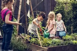Aménager un potager pour les enfants
