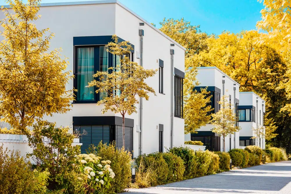 arbres en copropriété
