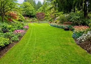 Aménagement du jardin : plan, zonage et choix des matériaux