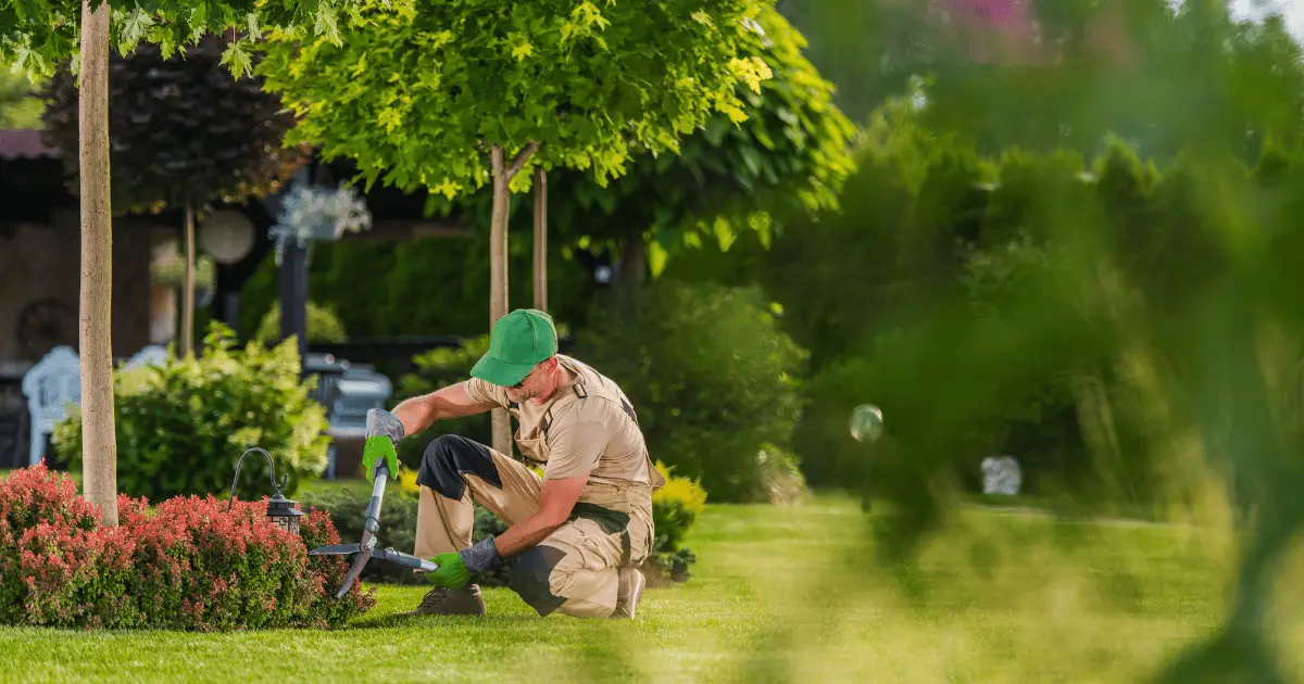 Entretenir votre jardin
