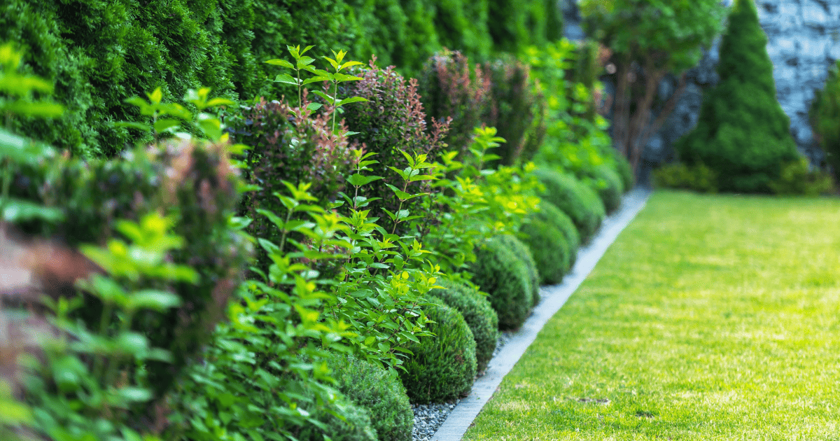 Aménager votre extérieur