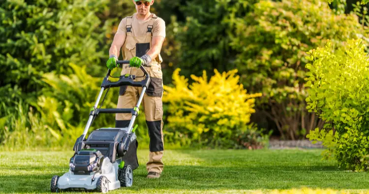Jardinier professionnel qui tond une pelouse avec une tondeuse thermique