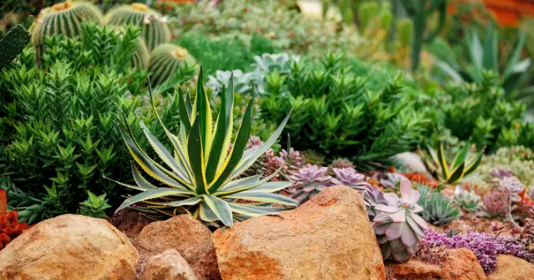 Réalisations jardinage