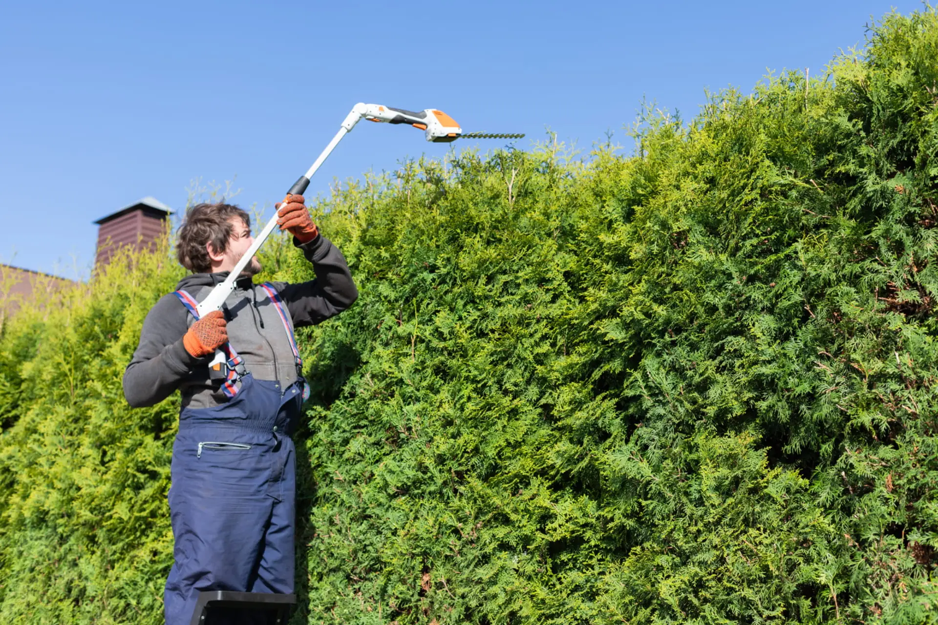 Taille de haie par un jardinier professionnel Jardinier professionnel en train de tailler une haie - guide taille et élagage