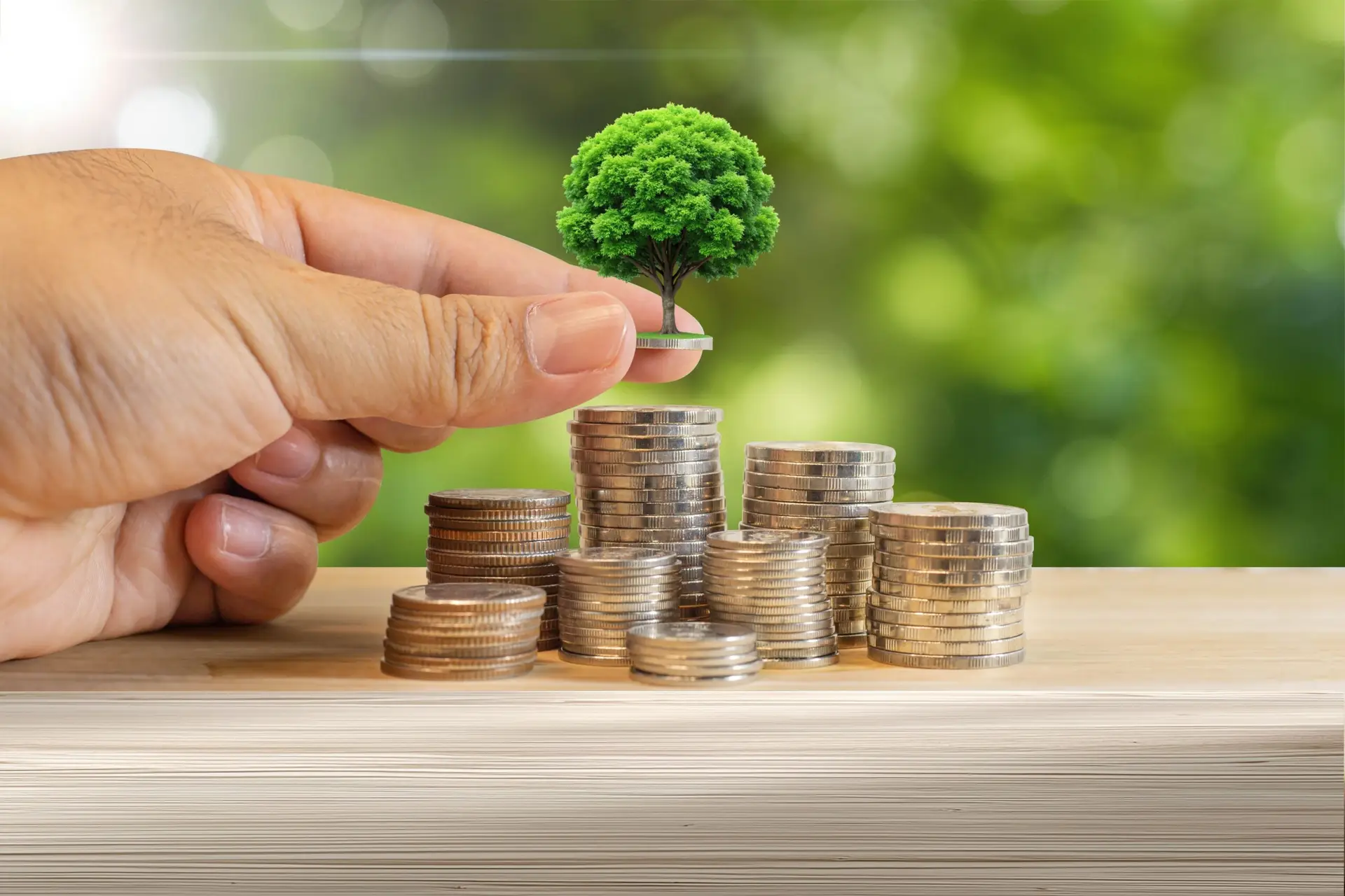 Jardinage et crédit d'impôt