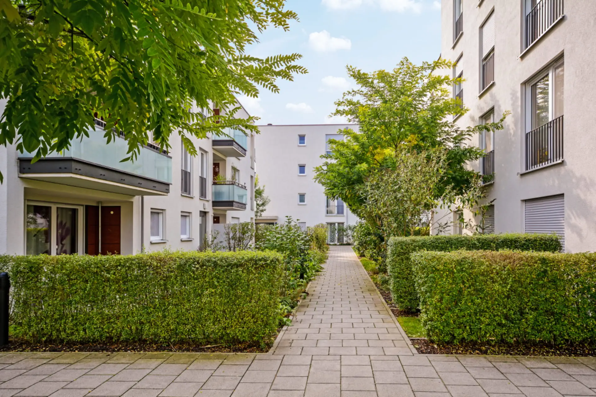 jardin de ville aménagé avec terrasse et végétation par un jardinier professionnel
