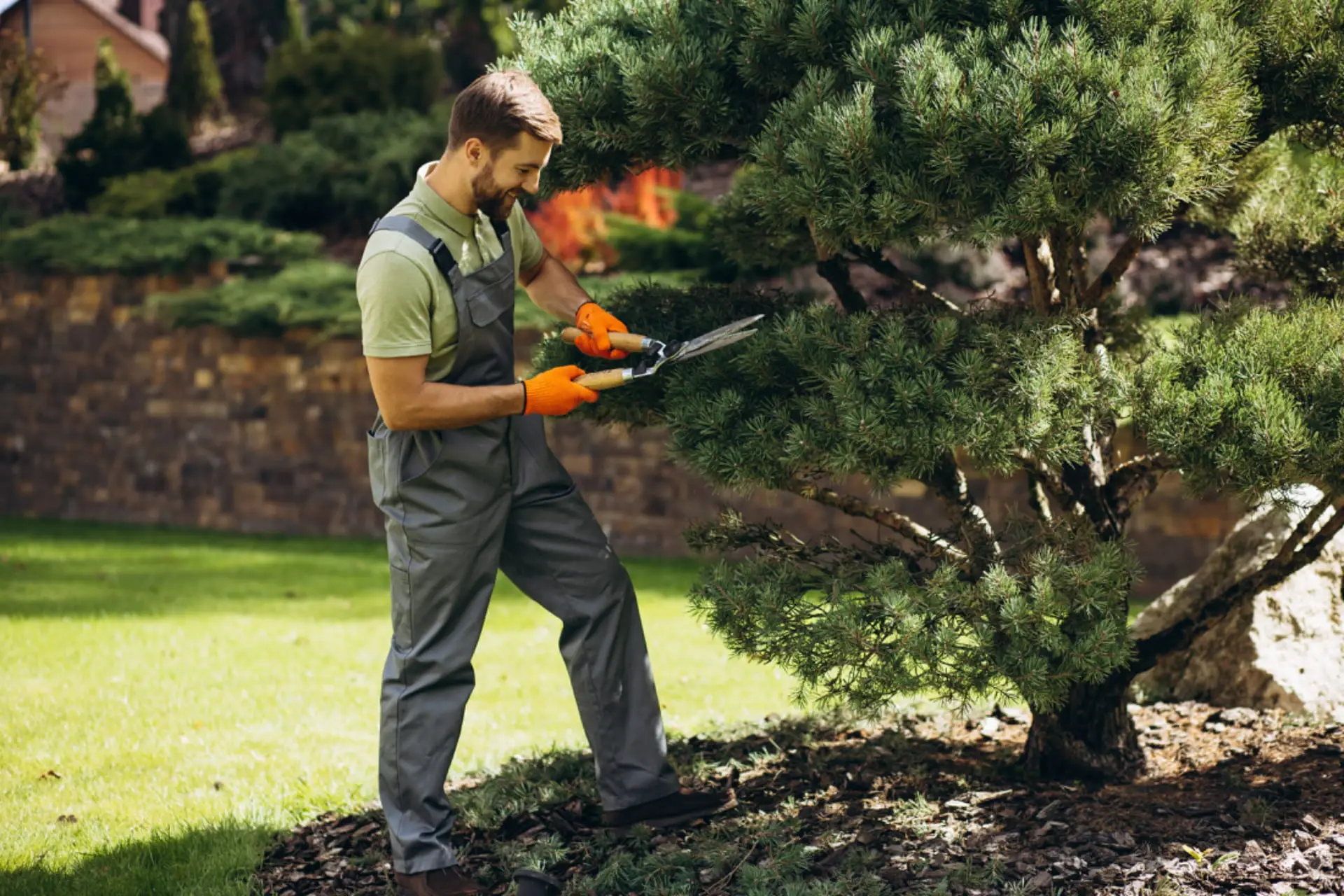 Trouver un jardinier : jardinier professionnel en intervention dans un jardin