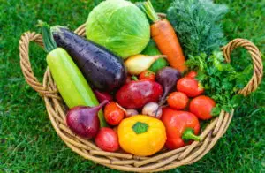 Calendrier du jardin : travaux, plantations et récoltes