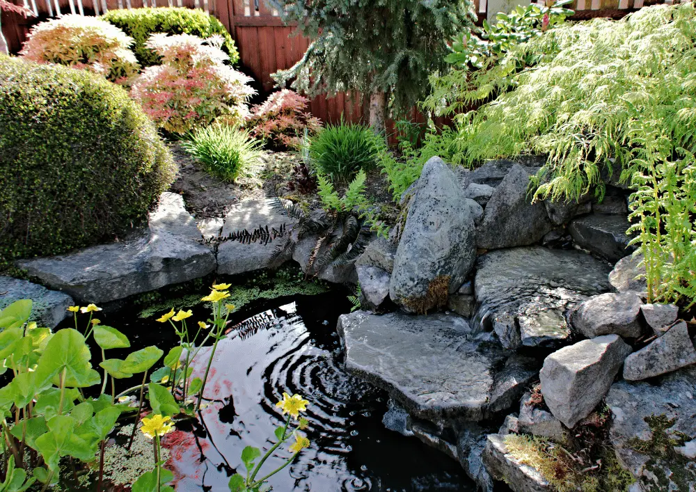Jardin japonais zen avec érables, mousse et lanterne en pierre - style contemplatif parmi les styles de jardins