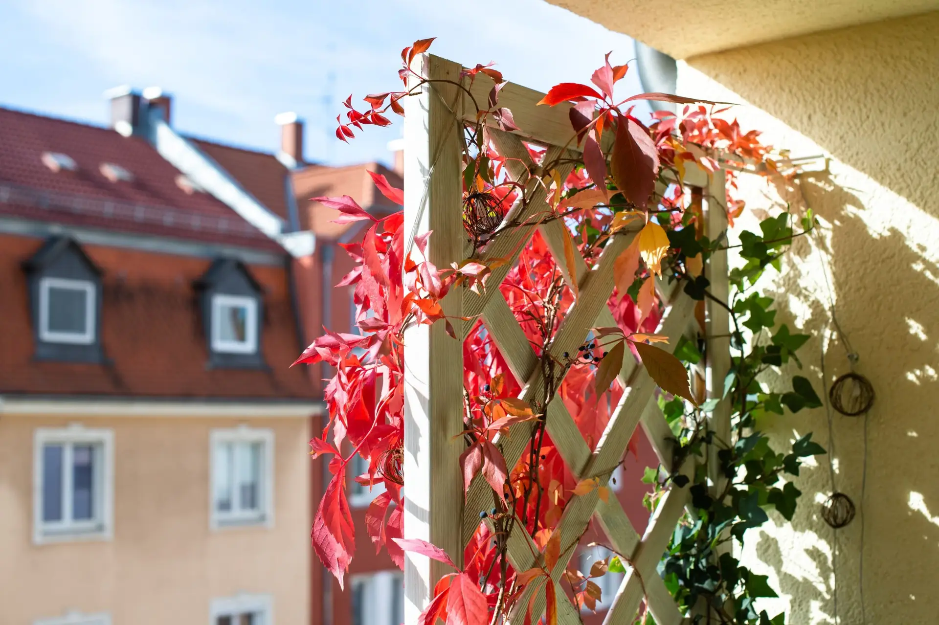 Mobilier compact et plantes disposées en hauteur sur un balcon - optimiser un petit jardin urbain par la verticalité