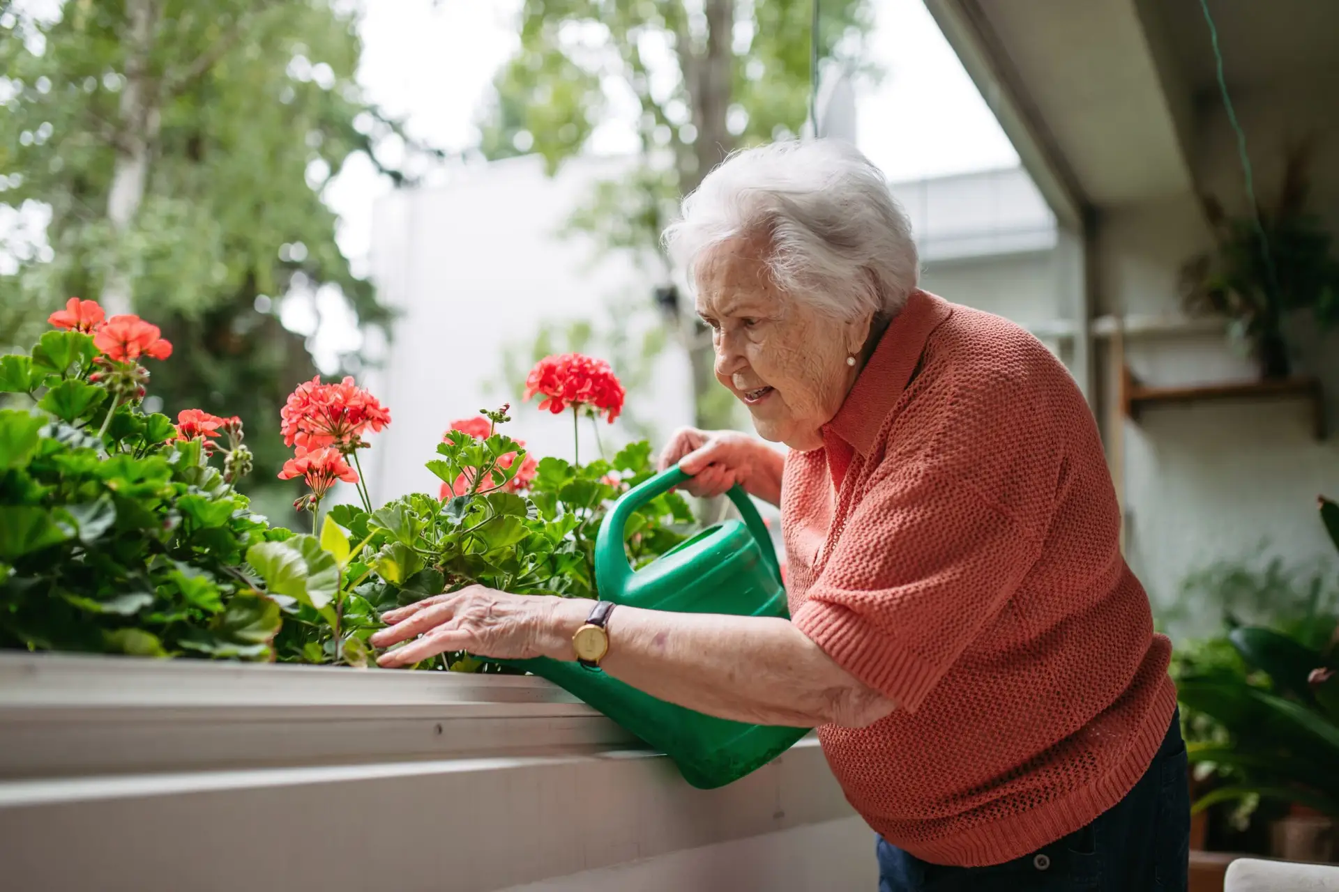 Personne âgée qui arrose ses plantes sur un balcon - entretien régulier d'un jardin urbain