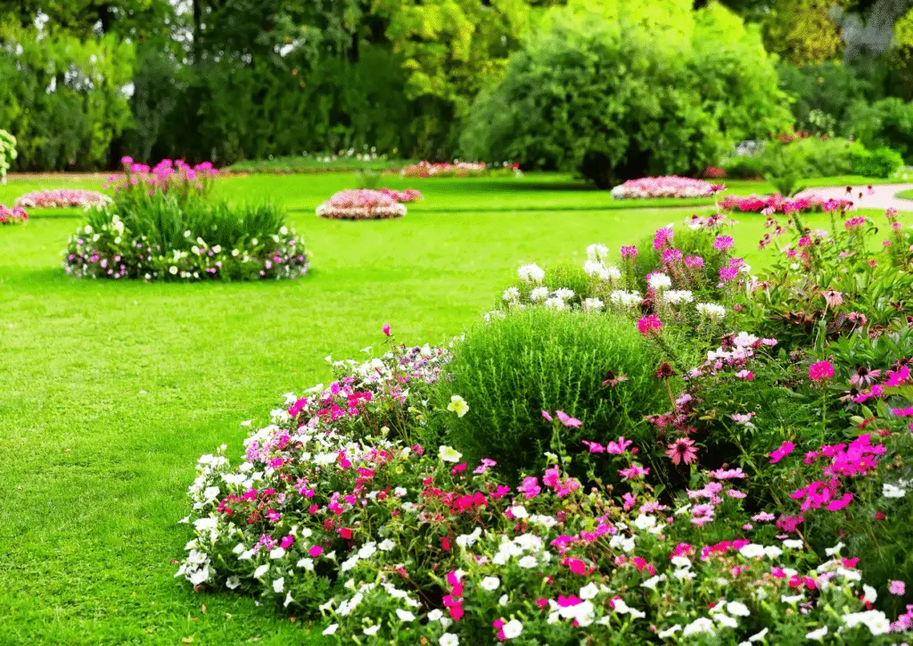 Entretien de jardin : méthodes, calendrier et prix