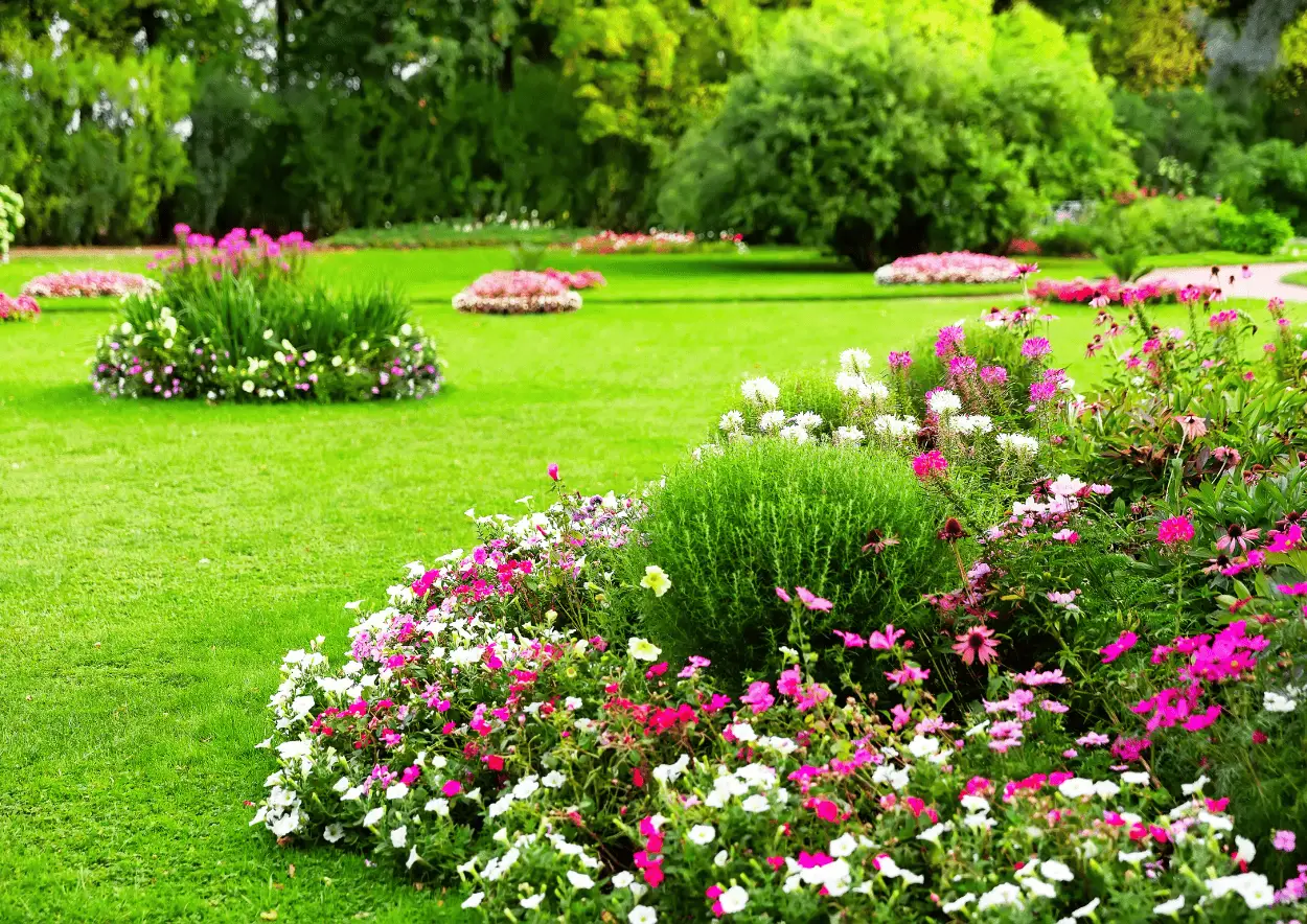 Entretien de jardin : méthodes, calendrier et prix