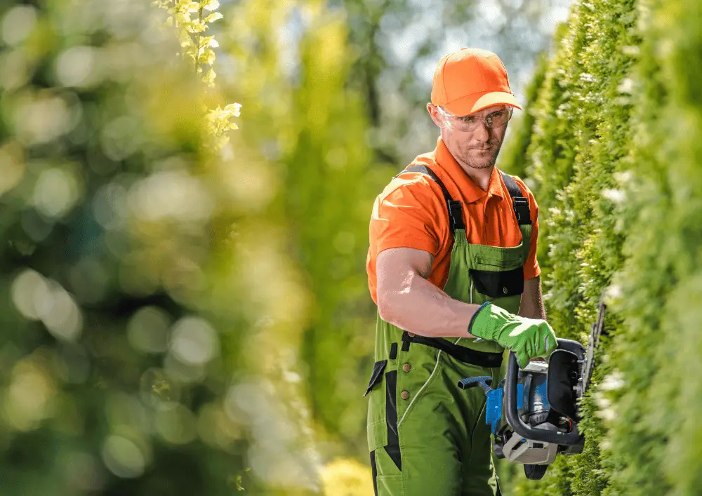 Jardinier taille haie matériel professionnel Jardinier professionnel taillant une haie avec du matériel adapté - avantage de faire appel à un pro pour l'entretien de jardin