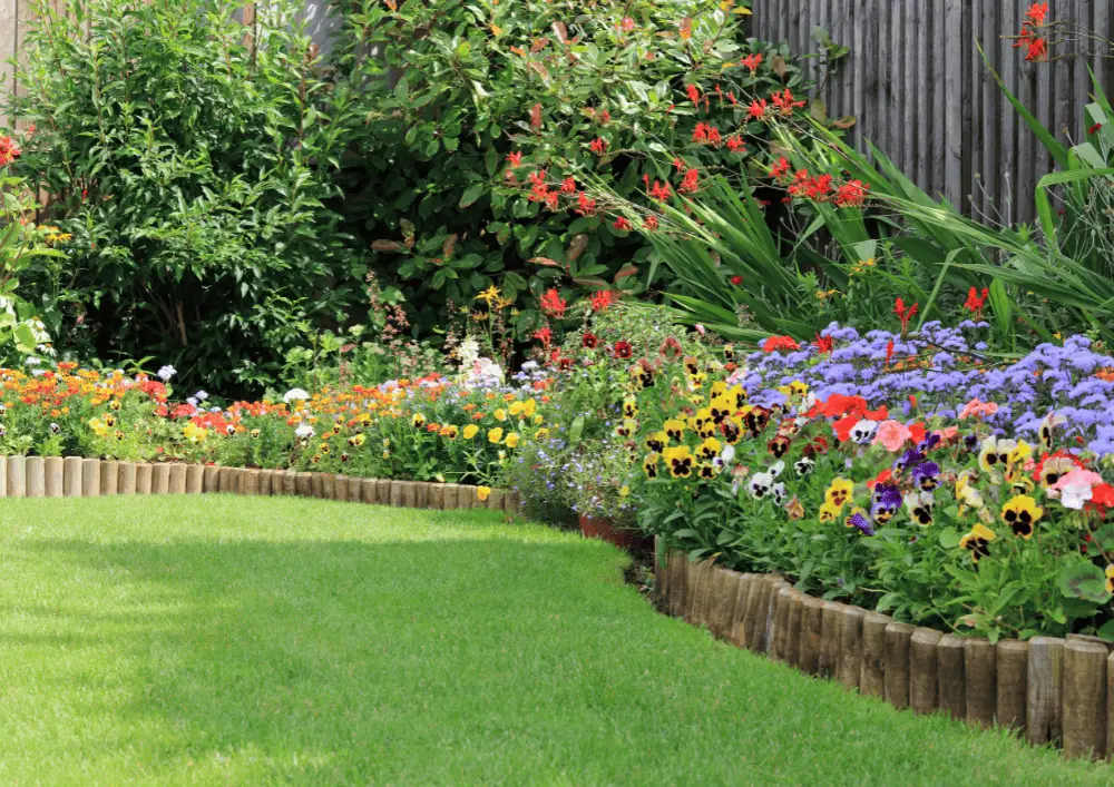 Massif fleuri bien pensé et harmonieux Massif fleuri coloré et harmonieux - exemple de choix réussi de plantes du jardin