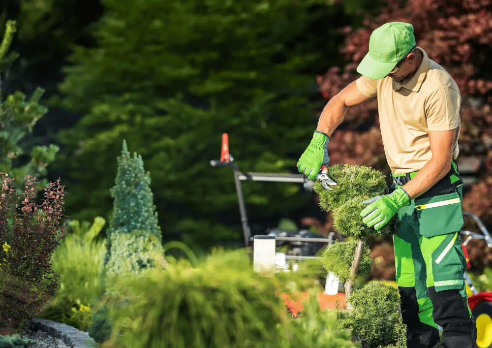 Jardinier professionnel CMonJardinier en train de tailler des végétaux - expertise pour cultiver et entretenir les plantes du jardin
