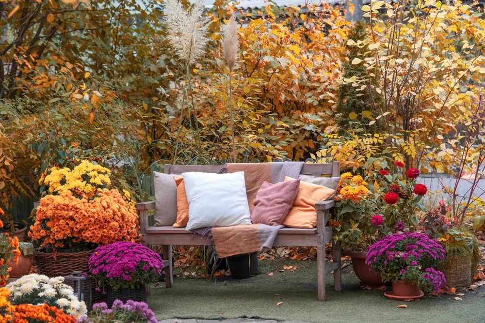 Jardin florissant illustrant le calendrier annuel des travaux de jardinage