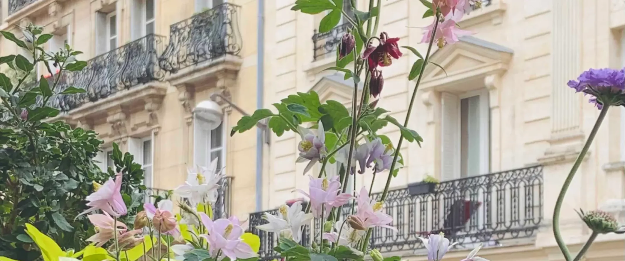 61fea41d97d5dd387f56e005